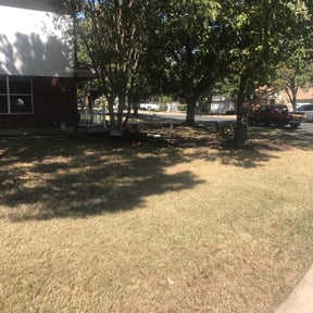 Leaf Removal by BMP reviewed on September 17, 2025