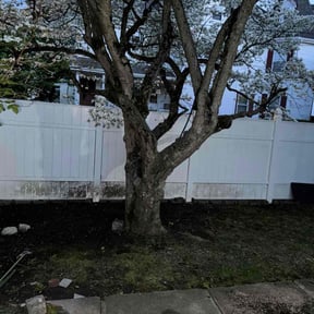 Leaf Removal by Kingdom Hands Lawn Care Services reviewed on August 14, 2025