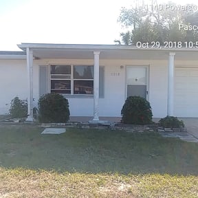 Bush Trimming by WhyExperts LLC reviewed on March 20, 2024