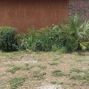 Bush Trimming by IMPAKT Lawn Solutions reviewed on August 19, 2025