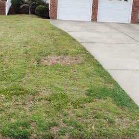 Leaf Removal by Vanlandingham Lawn Care & Services reviewed on August 15, 2025
