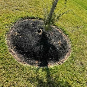 Flower Bed Weeding by Yanez Brothers Landscaping reviewed on August 21, 2025