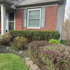 Bush Trimming by Trusty Trade Co. reviewed on April 23, 2026