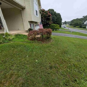 Bush Trimming by CM Lawn Care LLC reviewed on July 12, 2026