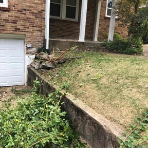 Bush Trimming by USA Lawncare Inc reviewed on November 24, 2025