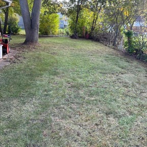 Leaf Removal by Imperial Lawn care and landscaping reviewed on November 5, 2025