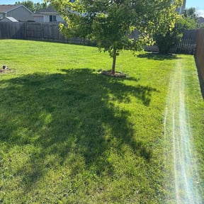 yard work by Up Cut Lawn Care reviewed on August 15, 2025