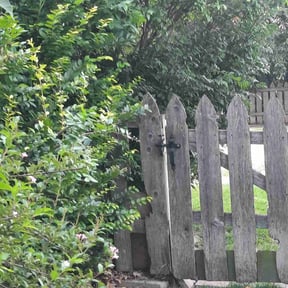 Bush Trimming by Lakeith carlyle reviewed on November 24, 2025