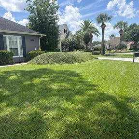 yard care by Roberts Cutting Edge LLC reviewed on November 21, 2025