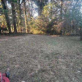 Leaf Removal by Your Lawn Stylist. reviewed on November 19, 2025