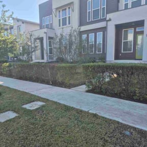 Bush Trimming by Boots on the Ground Lawn Care Services reviewed on November 23, 2025