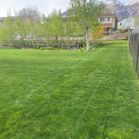 gardening service by The Eighth Dimension, A.I.E reviewed on November 26, 2025