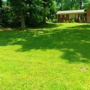 yard service by Everything under the sun reviewed on December 8, 2025