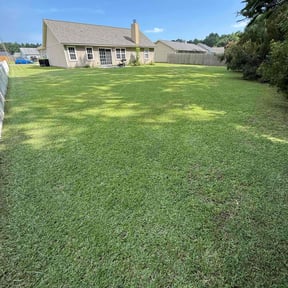 landscaping by R&J landscaping and Homeworks reviewed on August 16, 2025