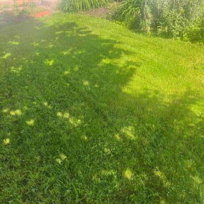 gardening service by Tyler’s landscaping reviewed on August 20, 2025