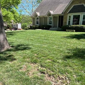 Other by Farsight services reviewed on September 24, 2023