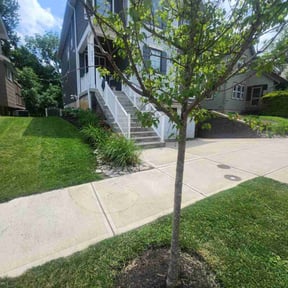 turf care by Phillips4seasons reviewed on August 20, 2025