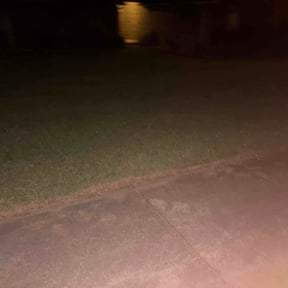 Flower Bed Weeding by Love for the lawn reviewed on July 4, 2026