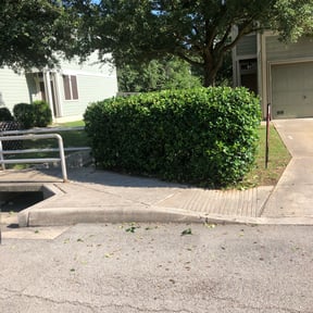 Bush Trimming by It Grow We Mow Lawncare LLC reviewed on April 24, 2024