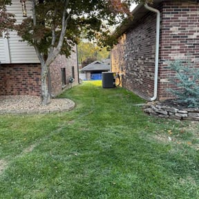 Leaf Removal by Willie&#039;s Mobile Lawn Services reviewed on November 9, 2025