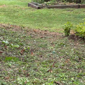 Flower Bed Weeding by DigonThis Lawn Care reviewed on July 7, 2026