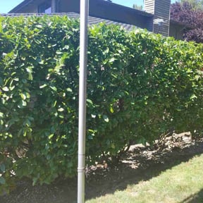 Bush Trimming by Yanez Brothers Landscaping reviewed on August 15, 2025