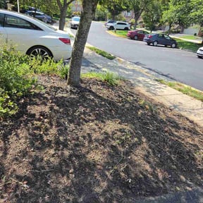 Flower Bed Weeding by Lawn legends reviewed on August 19, 2026