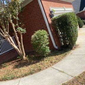 Bush Trimming by S &amp; Z Lawn Service reviewed on April 6, 2022