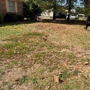 Bush Trimming by St Charles Services reviewed on April 12, 2026