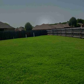 turf care by Big 3 Lawns and Landscaping reviewed on May 23, 2025