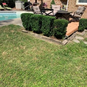 Bush Trimming by Sunnyside of Hillsborough reviewed on August 17, 2025