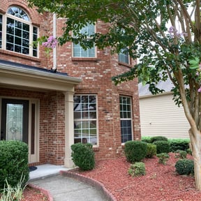 Bush Trimming by Florida Georgia Service&#039;s LLC reviewed on July 16, 2020