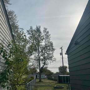 Bush Trimming by Year Round Yard Works reviewed on October 21, 2025