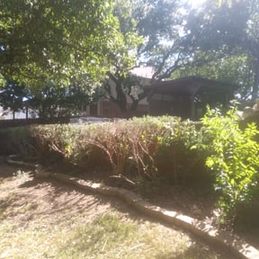 Bush Trimming by J & L Lawncare Services LLC reviewed on August 19, 2025