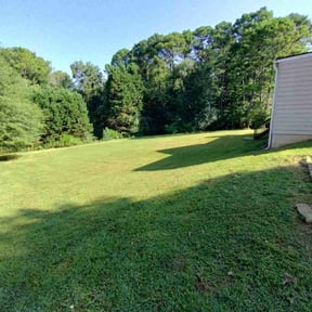 lawn care services by House Perfect reviewed on August 25, 2023