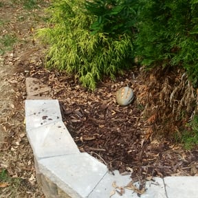 Flower Bed Weeding by Jay R reviewed on August 18, 2025