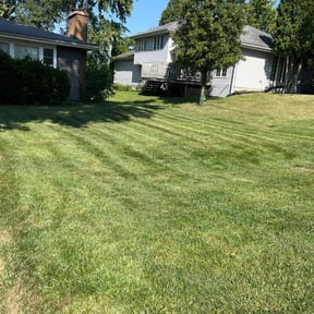 yard care by Rios Enterprise Lawn Mowing Services LLC reviewed on August 19, 2025