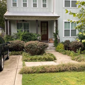 Bush Trimming by Lawn pros. reviewed on August 17, 2025