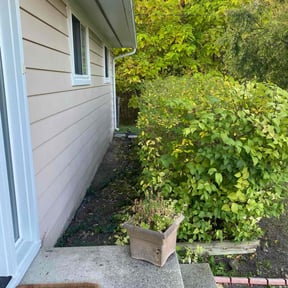 Bush Trimming by C&amp;J Lawn Care and Pressure Washing reviewed on November 23, 2025