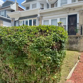 Bush Trimming by Delgado Landscaping and Garden reviewed on October 16, 2023