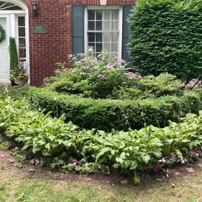 Bush Trimming by Rivera and Son's Services reviewed on August 17, 2025