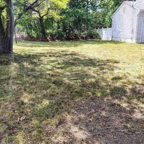 Leaf Removal by Meza Construction and Landscaping LLC reviewed on May 11, 2026