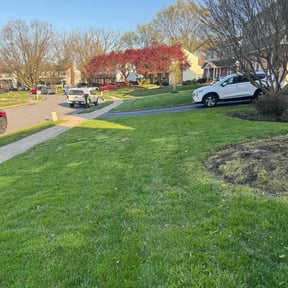 landscape maintenance by GreenLand Landscaping LLC reviewed on August 16, 2025