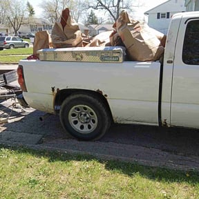 Leaf Removal by The Kadyebo way reviewed on August 21, 2025