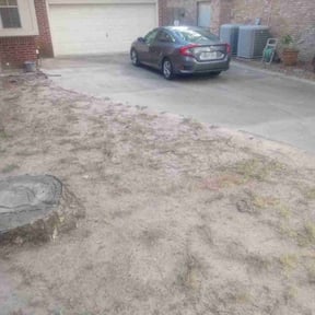 Leaf Removal by Tried &amp; True Landscape reviewed on September 23, 2025