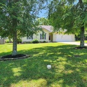 landscaping by Tennessee Turf reviewed on May 14, 2025