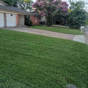 yard work by Allen's Lawn Service reviewed on August 15, 2025