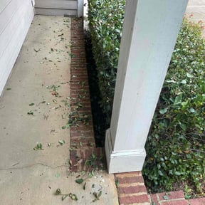 Bush Trimming by Starnes Lawn Care reviewed on August 15, 2025