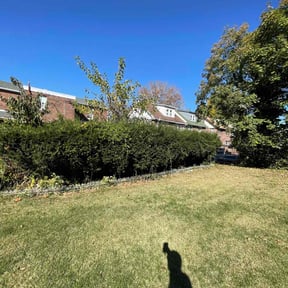 Bush Trimming by Yard Dr. LLC reviewed on November 7, 2023