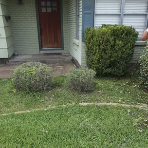 Bush Trimming by A Lawns Love Landscaping reviewed on May 11, 2024